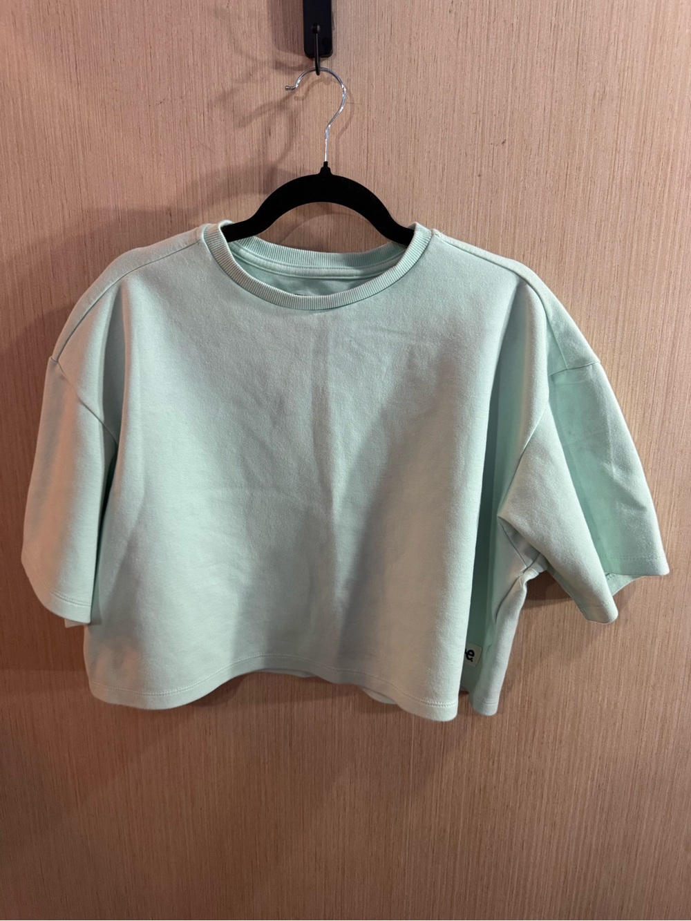 Lee Mint Cropped Crewneck Heavy Weight Shirt Size Medium